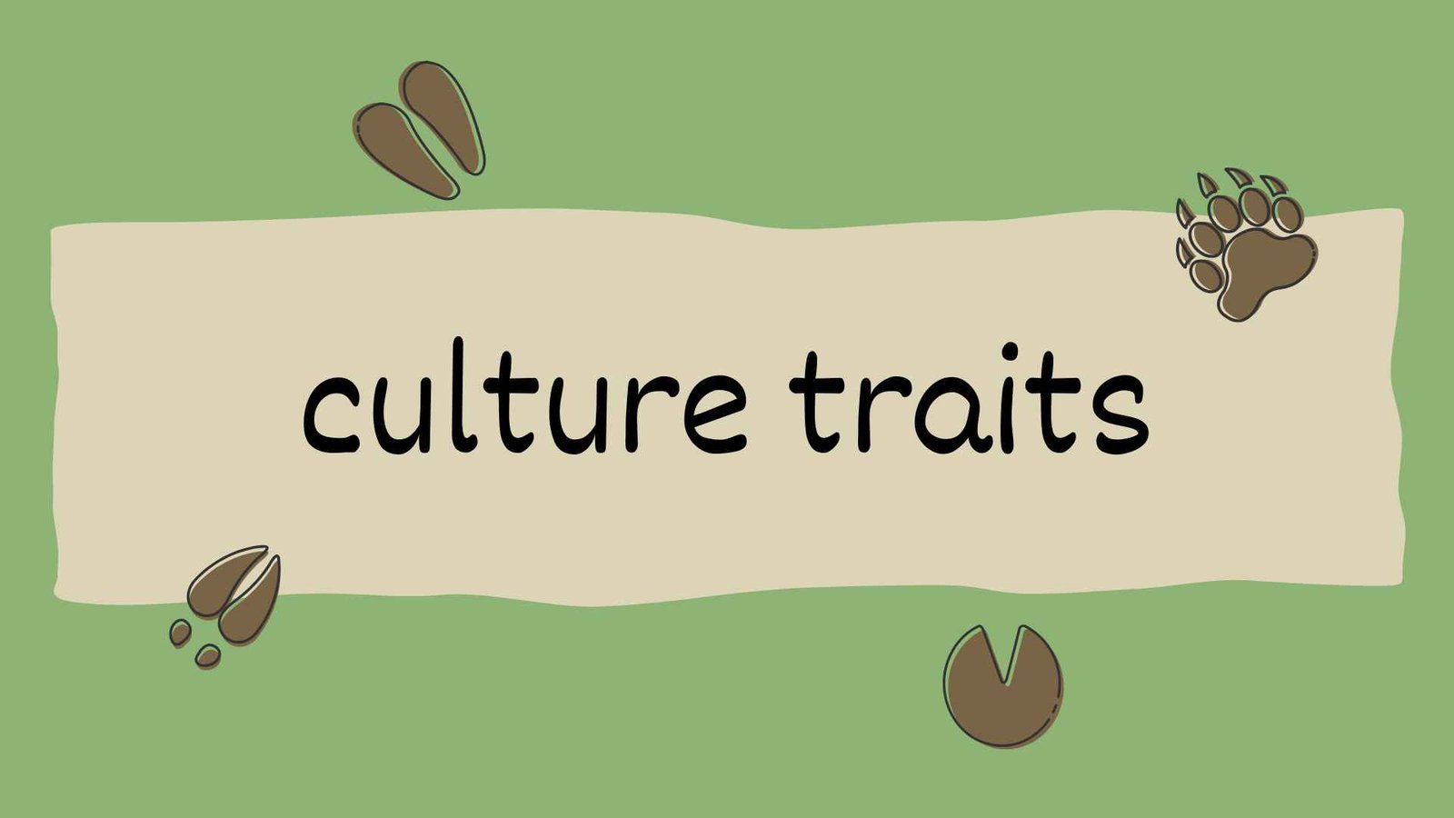 culture traits