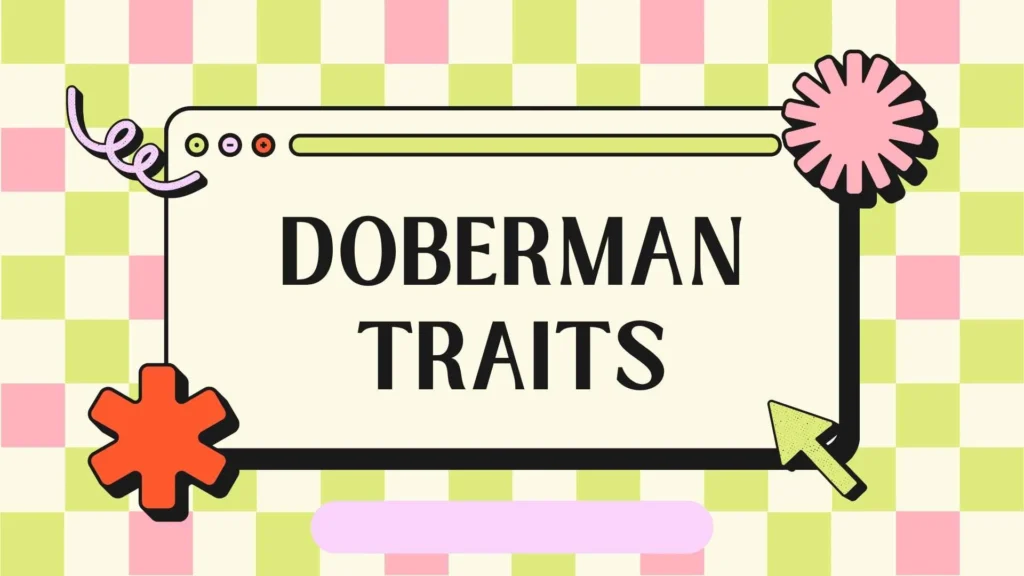 Doberman Traits: Complete Guide to Personality, Temperament, and Behavior